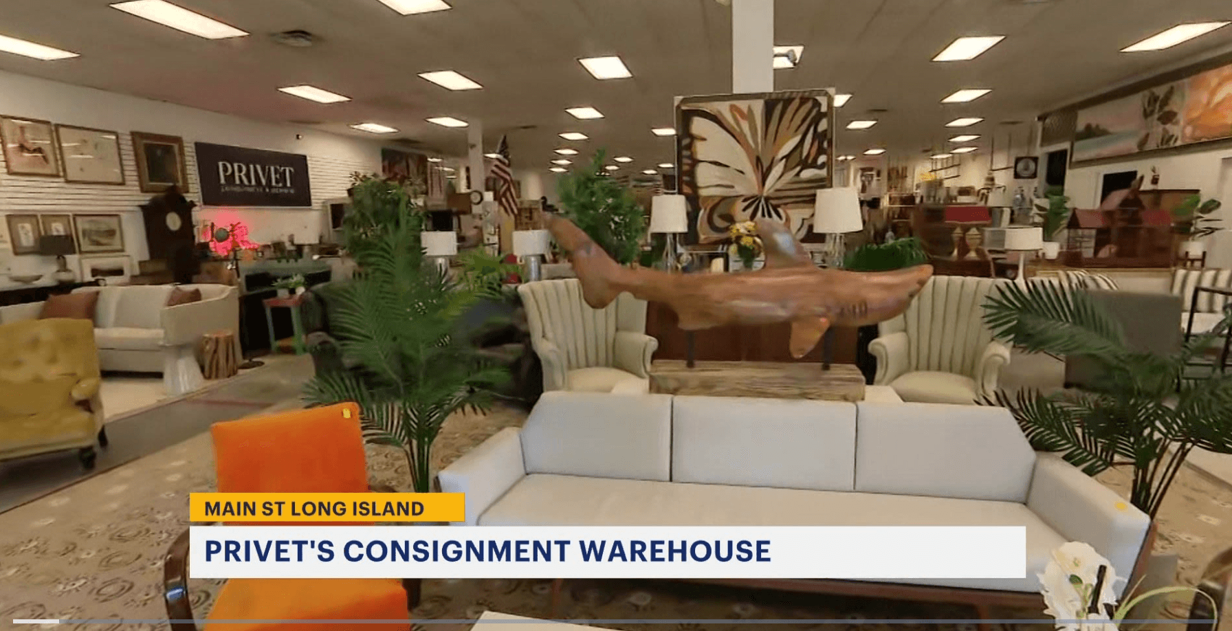 News 12 Feature - Photo 3